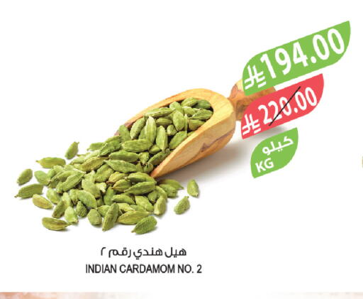 Cardamom available at المزرعة in مملكة العربية السعودية, السعودية, سعودية - الخبر‎