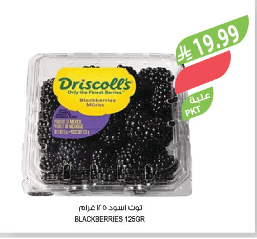 available at Farm  in KSA, Saudi Arabia, Saudi - Al Hasa