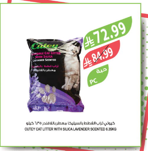 available at Farm  in KSA, Saudi Arabia, Saudi - Sakaka