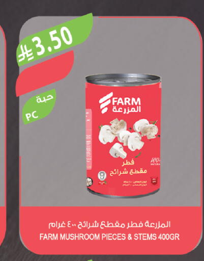 Mushroom available at Farm  in KSA, Saudi Arabia, Saudi - Sakaka