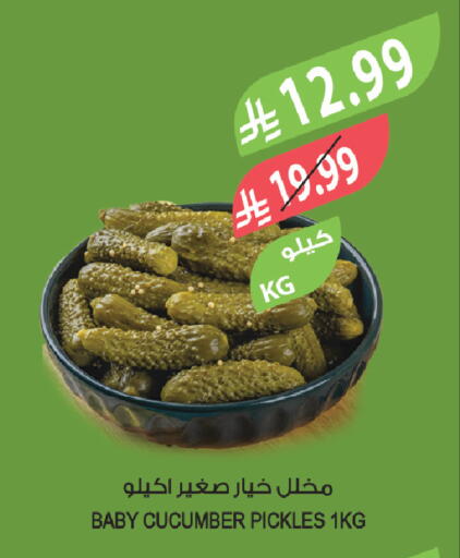 Cucumber available at المزرعة in مملكة العربية السعودية, السعودية, سعودية - جدة