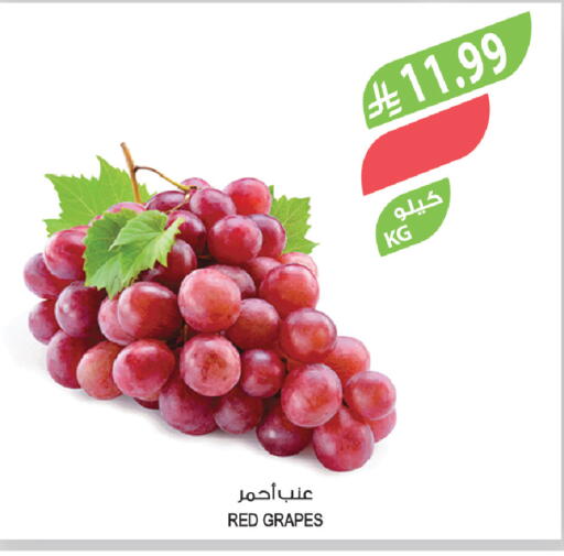 Grapes available at Farm  in KSA, Saudi Arabia, Saudi - Arar