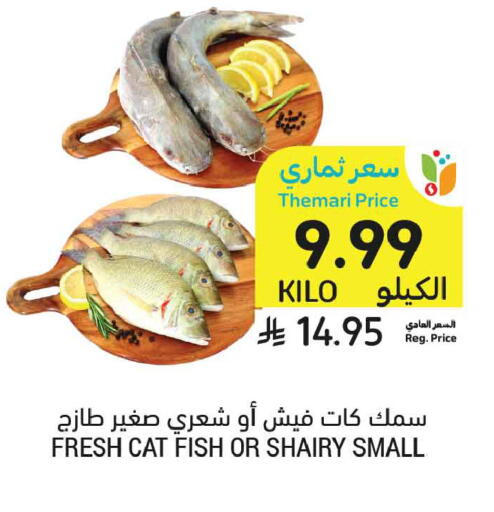 available at أسواق التميمي in مملكة العربية السعودية, السعودية, سعودية - جدة