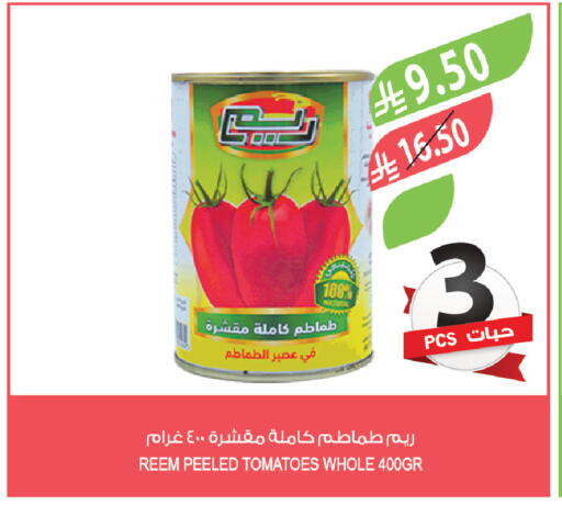 Tomato available at Farm  in KSA, Saudi Arabia, Saudi - Sakaka
