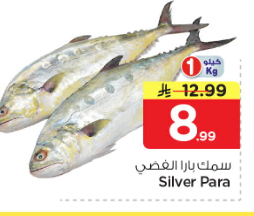 available at نستو in مملكة العربية السعودية, السعودية, سعودية - الرياض