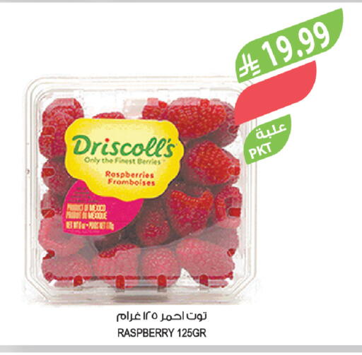 Raspberry available at Farm  in KSA, Saudi Arabia, Saudi - Al Hasa