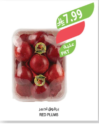 Plums available at Farm  in KSA, Saudi Arabia, Saudi - Arar