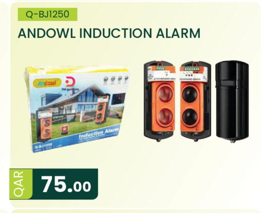 available at مجموعة ريجنسي in قطر - الشمال