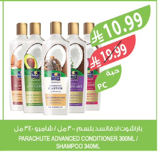 Coconut available at Farm  in KSA, Saudi Arabia, Saudi - Jubail