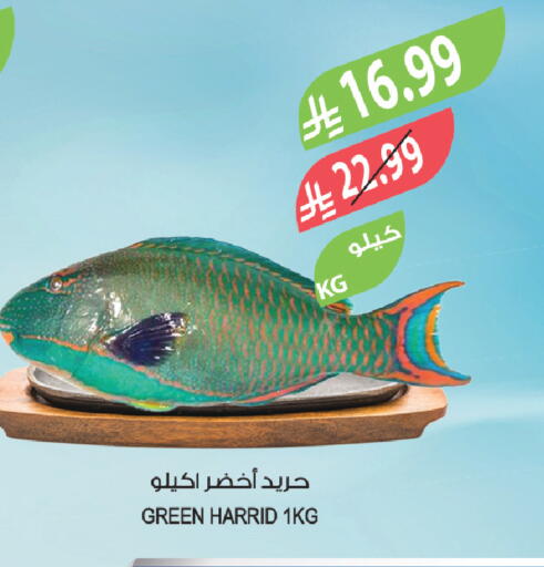 available at المزرعة in مملكة العربية السعودية, السعودية, سعودية - سكاكا