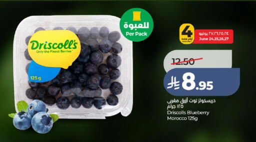 Blueberry BlueBerry from Morocco available at LULU Hypermarket in KSA, Saudi Arabia, Saudi - Ta'if