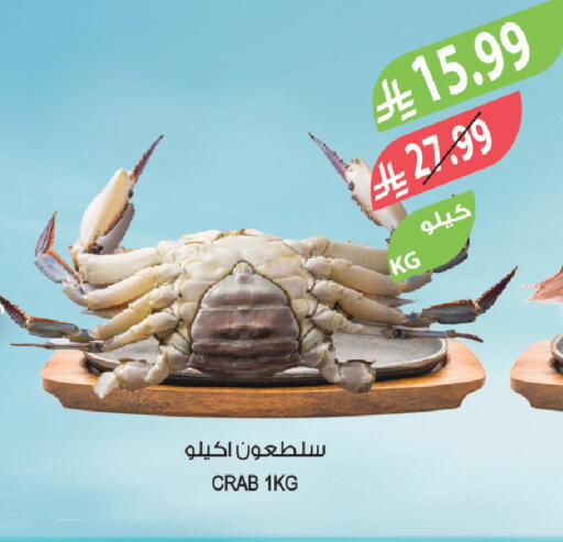 available at المزرعة in مملكة العربية السعودية, السعودية, سعودية - سكاكا
