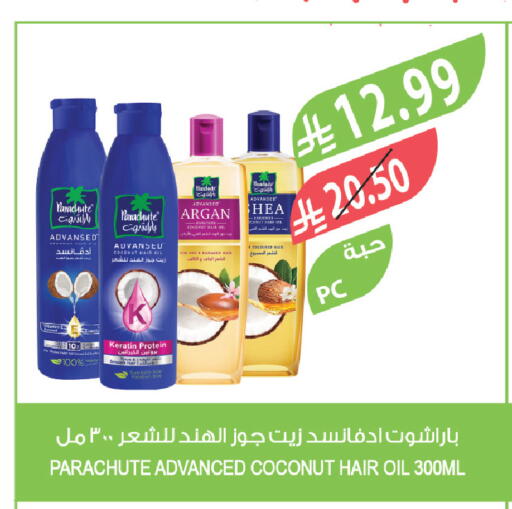 Coconut available at Farm  in KSA, Saudi Arabia, Saudi - Sakaka