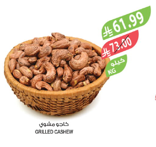 available at المزرعة in مملكة العربية السعودية, السعودية, سعودية - الخبر‎