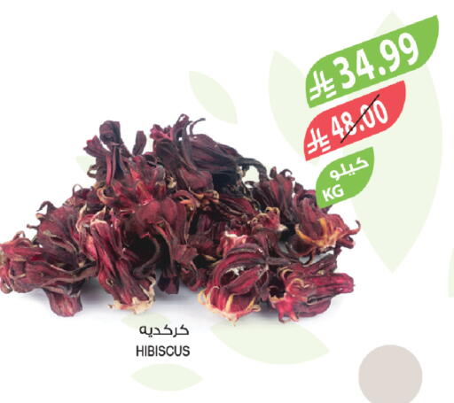 available at المزرعة in مملكة العربية السعودية, السعودية, سعودية - الخبر‎