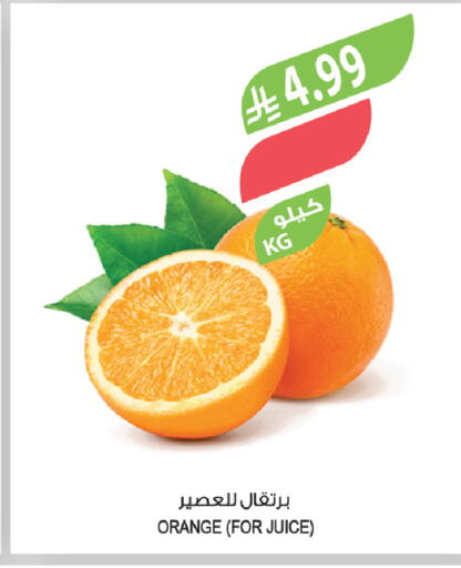Orange available at Farm  in KSA, Saudi Arabia, Saudi - Arar