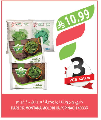 Spinach available at Farm  in KSA, Saudi Arabia, Saudi - Sakaka