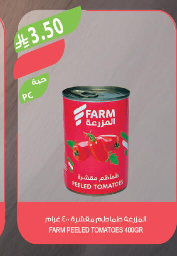 Tomato available at Farm  in KSA, Saudi Arabia, Saudi - Sakaka