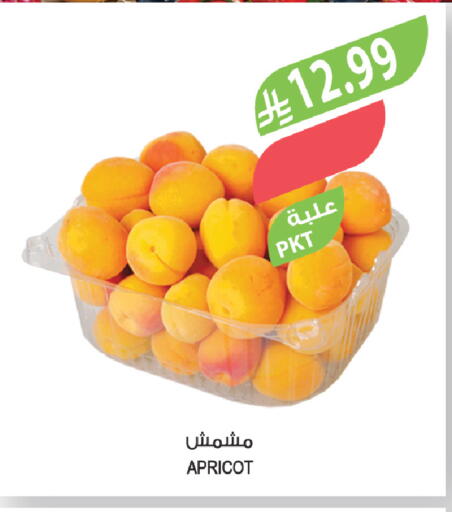 Apricot available at Farm  in KSA, Saudi Arabia, Saudi - Arar