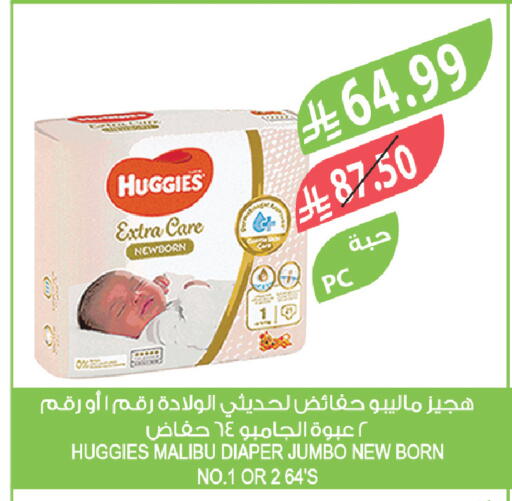 available at المزرعة in مملكة العربية السعودية, السعودية, سعودية - سكاكا