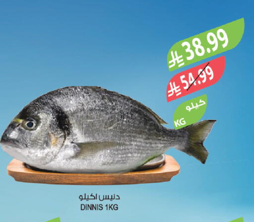 available at المزرعة in مملكة العربية السعودية, السعودية, سعودية - سكاكا