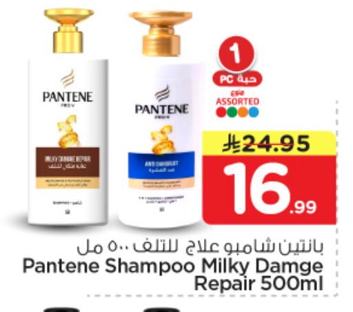 available at نستو in مملكة العربية السعودية, السعودية, سعودية - بريدة