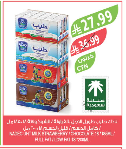 Strawberry available at المزرعة in مملكة العربية السعودية, السعودية, سعودية - عرعر