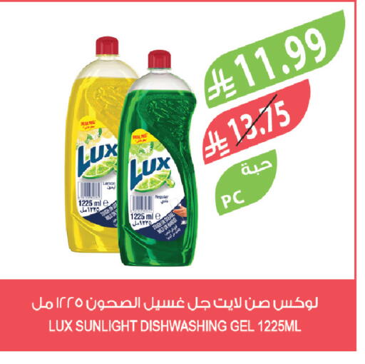 available at المزرعة in مملكة العربية السعودية, السعودية, سعودية - الخبر‎