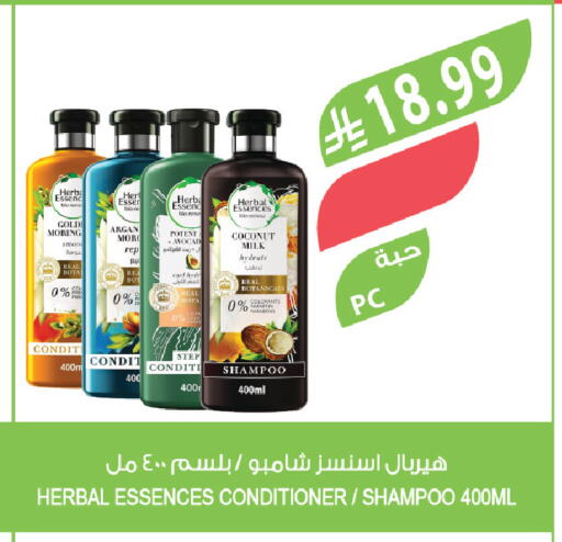 Coconut available at Farm  in KSA, Saudi Arabia, Saudi - Jubail