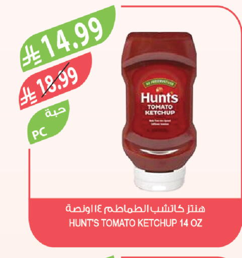 Tomato available at Farm  in KSA, Saudi Arabia, Saudi - Jubail