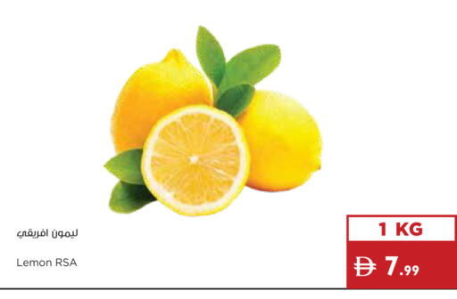 available at إسطنبول سوبرماركت in الإمارات العربية المتحدة , الامارات - دبي