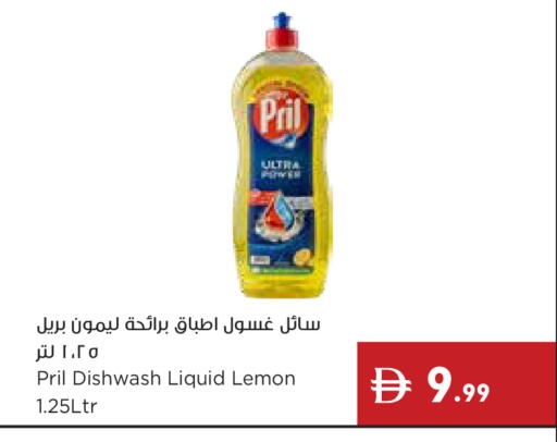 available at إسطنبول سوبرماركت in الإمارات العربية المتحدة , الامارات - دبي