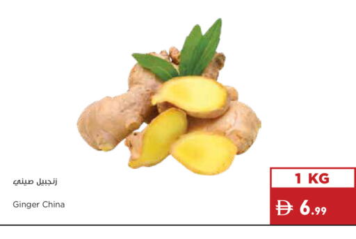 available at إسطنبول سوبرماركت in الإمارات العربية المتحدة , الامارات - دبي
