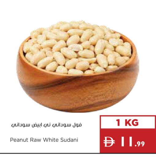 available at إسطنبول سوبرماركت in الإمارات العربية المتحدة , الامارات - أبو ظبي