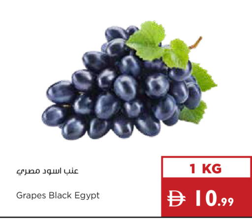 available at إسطنبول سوبرماركت in الإمارات العربية المتحدة , الامارات - دبي
