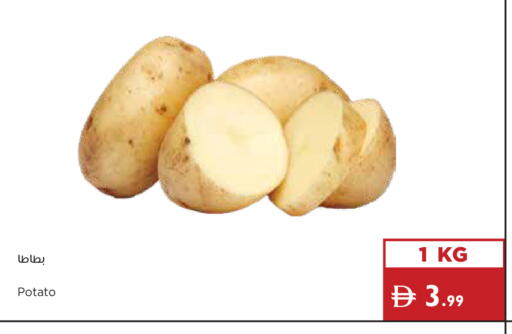 available at إسطنبول سوبرماركت in الإمارات العربية المتحدة , الامارات - دبي