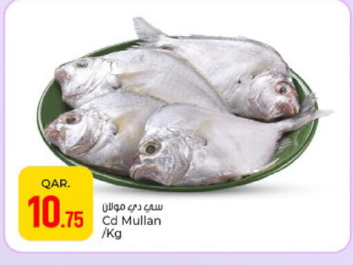 available at Paris Hypermarket in Qatar - Al Wakra