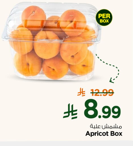 Apricot available at نستو in مملكة العربية السعودية, السعودية, سعودية - المجمعة