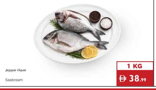 available at إسطنبول سوبرماركت in الإمارات العربية المتحدة , الامارات - دبي
