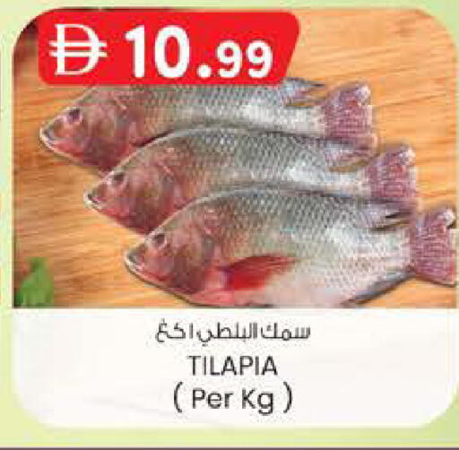 available at K M Trading  in UAE - Dubai