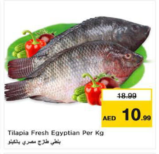 available at نستو هايبرماركت in الإمارات العربية المتحدة , الامارات - الشارقة / عجمان