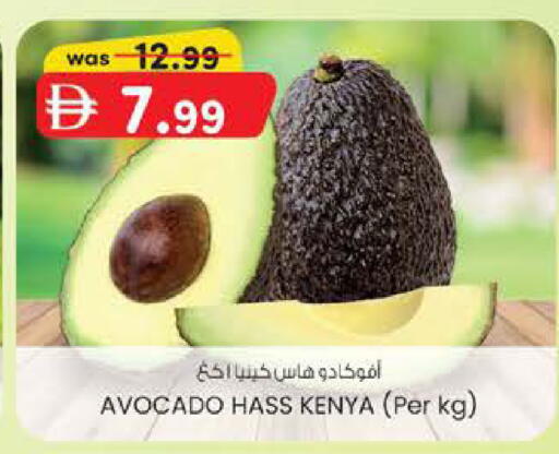 Avocado from Kenya available at K M Trading  in UAE - Dubai