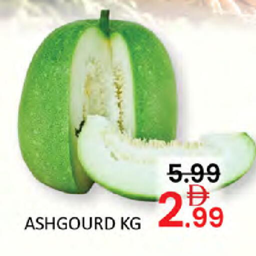 available at المدينة in الإمارات العربية المتحدة , الامارات - دبي