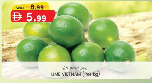from Vietnam available at K M Trading  in UAE - Dubai