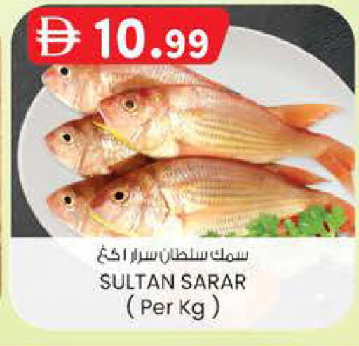 available at K M Trading  in UAE - Dubai