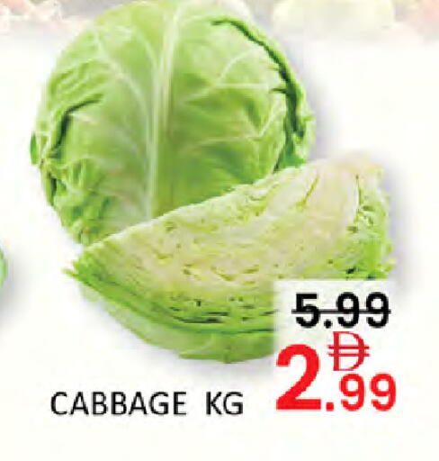 Cabbage available at المدينة in الإمارات العربية المتحدة , الامارات - دبي