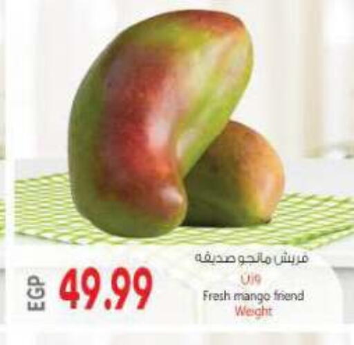 Mango available at New.Penny.market in Egypt - Cairo