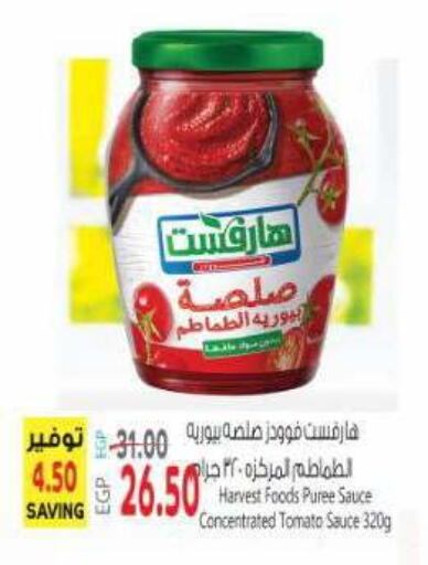 Tomato available at ماركت بني الجديد in Egypt - القاهرة