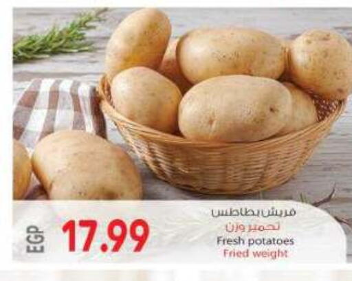 available at New.Penny.market in Egypt - Cairo