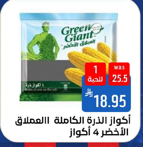 available at شبرا الطائف in مملكة العربية السعودية, السعودية, سعودية - الطائف